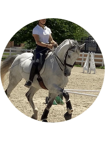Caballo Ruiponce
