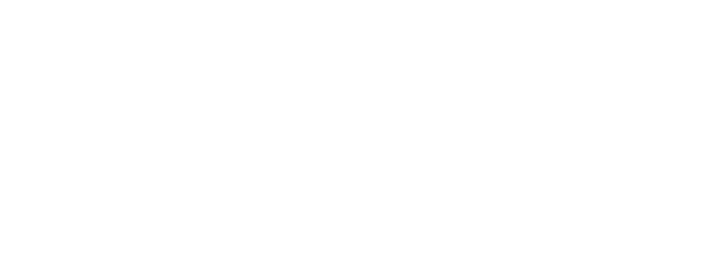 logo-x2-roaz